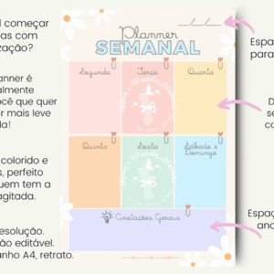 Arquivo Planner Semanal Collors